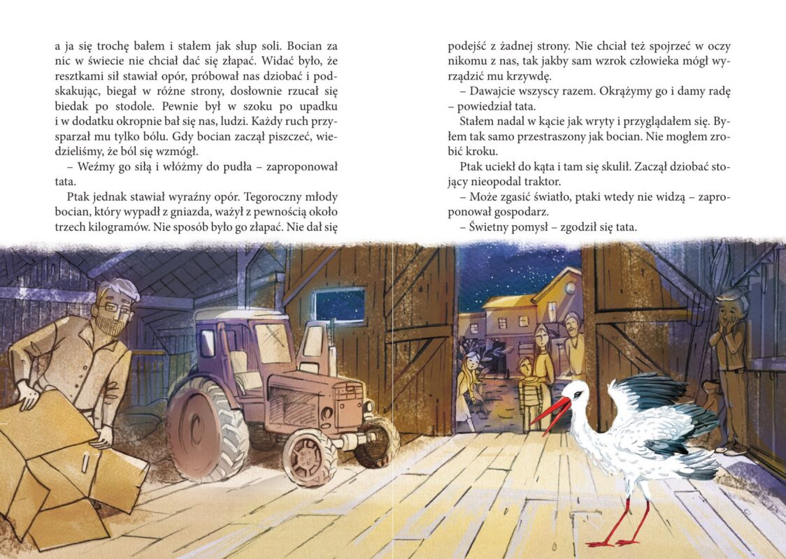 Mój przyjaciel bocian – ratowanie bociana w stodole